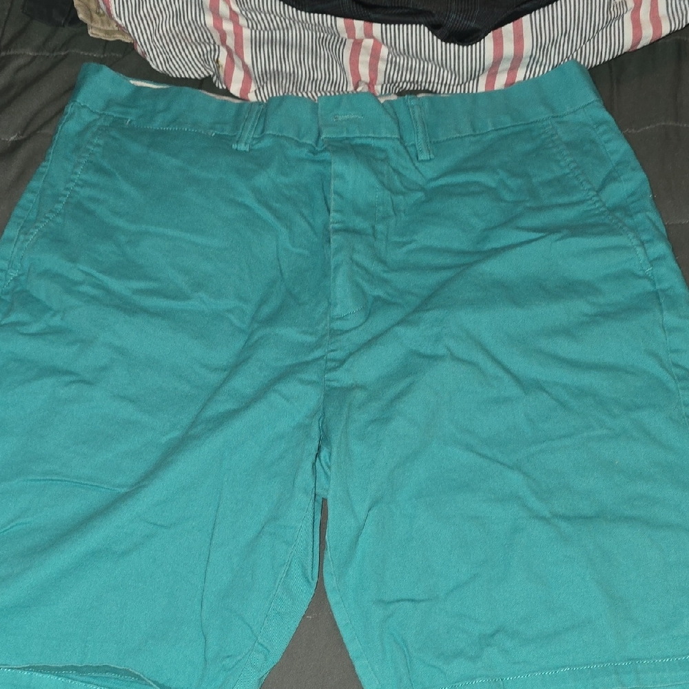 Old Navy Men's Aqua Flat Front Shorts